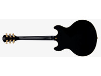 Sire Larry Carlton H7T Black Sire Larry Carlton H7T Black